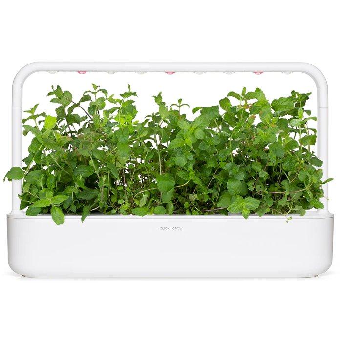 Click And Grow Plant Pods, 3Pack, SGR22X3 Peppermint Xcite