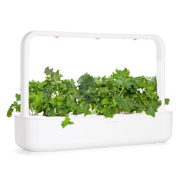 Click And Grow Plant Pods, 3Pack, SGR90X3 Green Kale Xcite