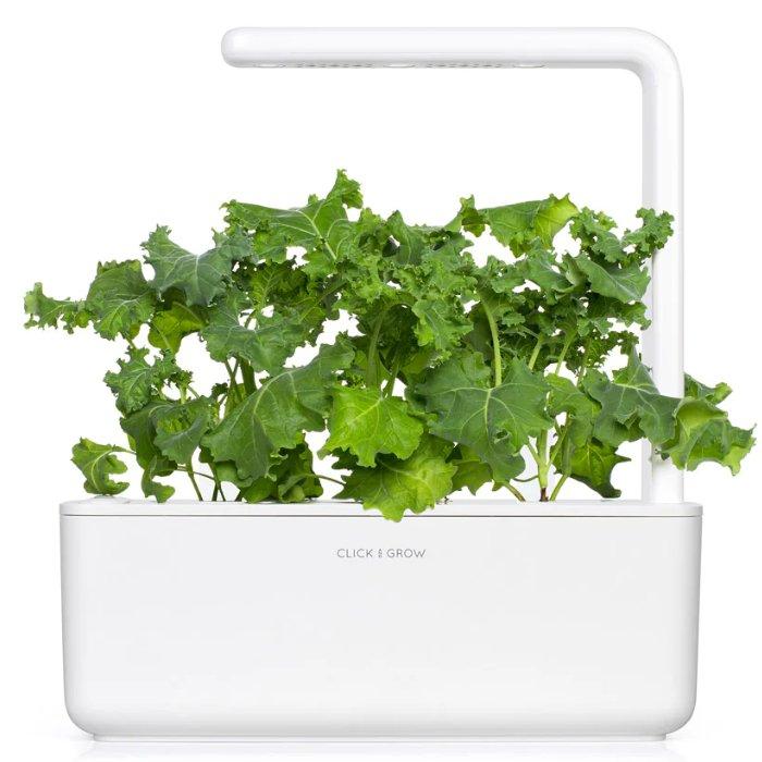 Click And Grow Plant Pods, 3Pack, SGR90X3 Green Kale Xcite