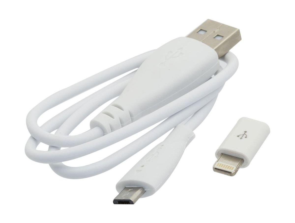 DataZone 8000mAh Dual USB PowerBank with Micro USB Cable + Wall Charger