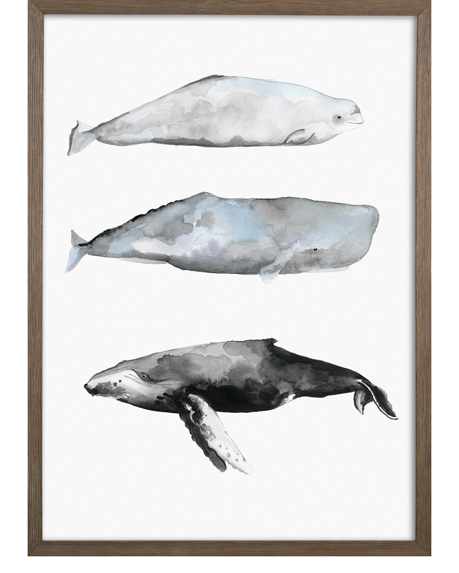 "Whale Grouping1" by Natasha Marie Serena and Lily