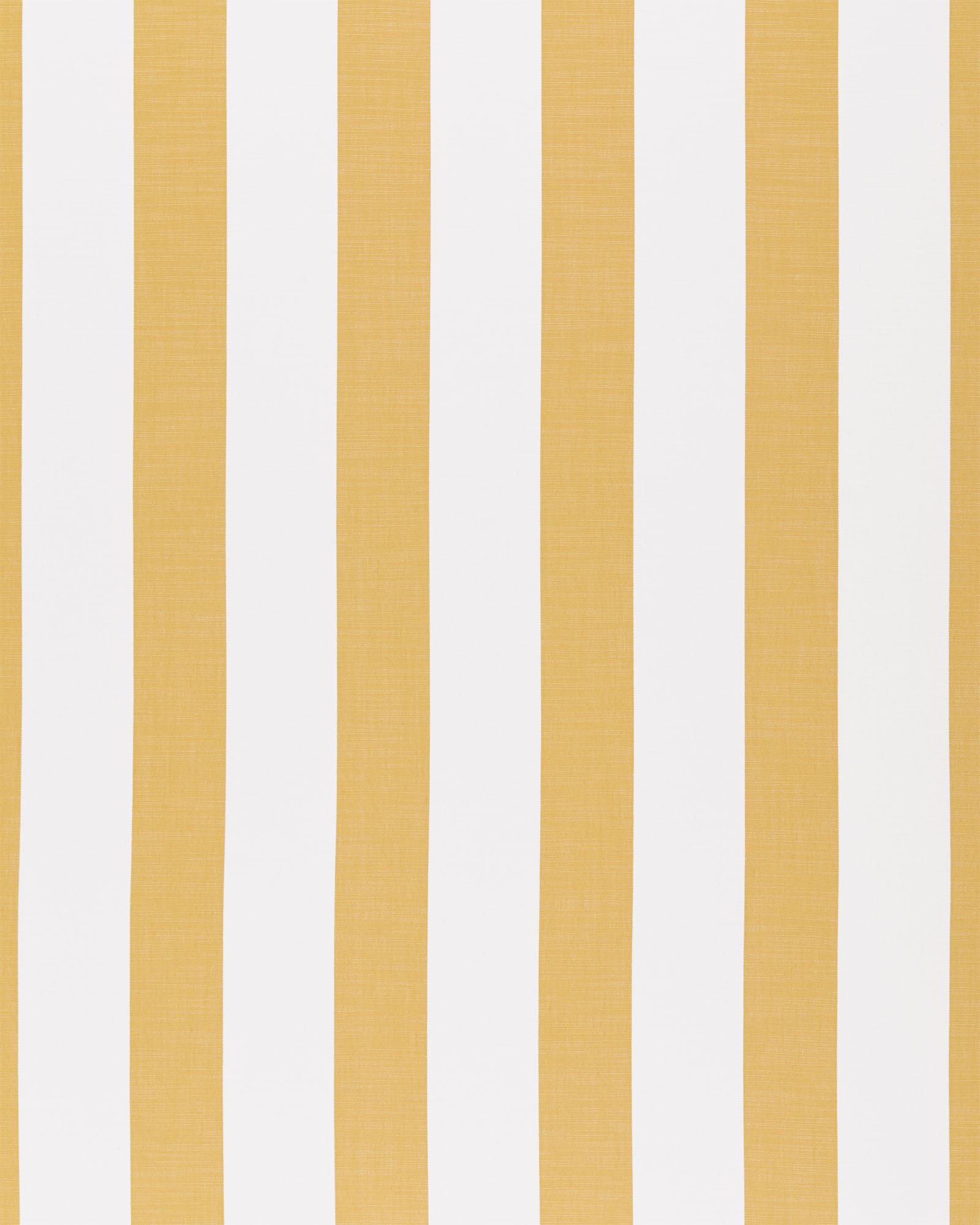 Perennials Harbor Stripe Sunflower Serena and Lily