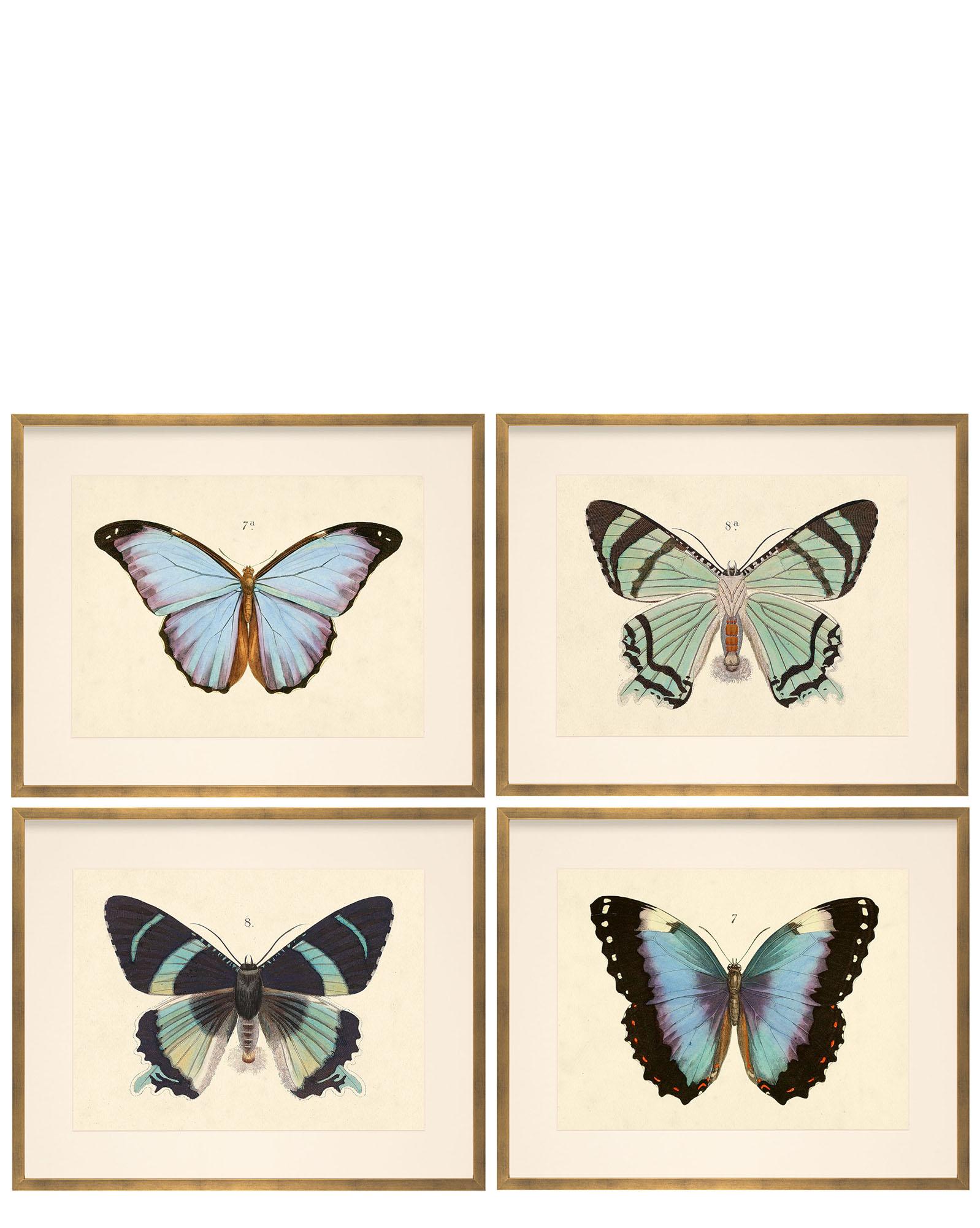 "Butterfly Series" by Whalebone Creek Serena and Lily