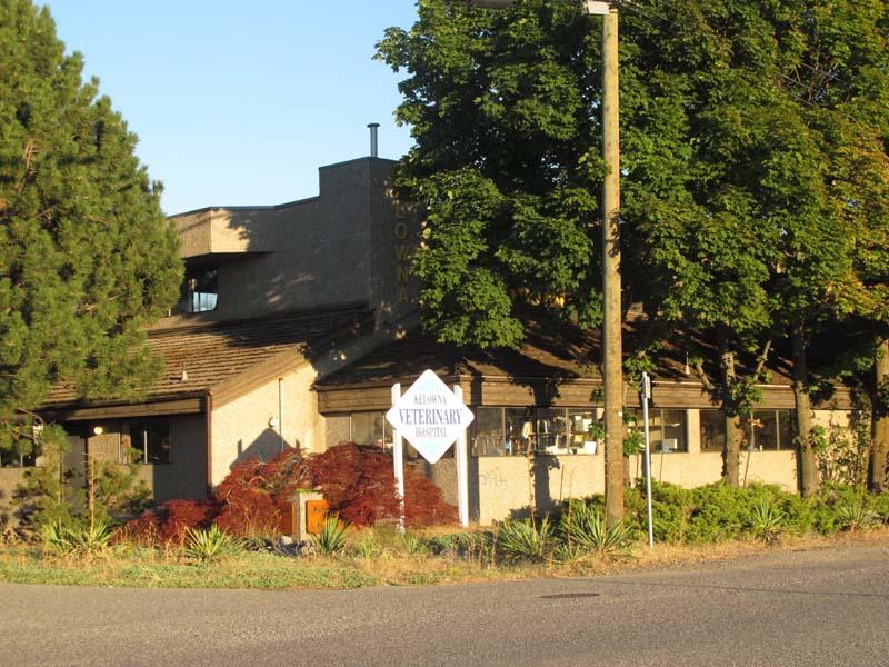 Kelowna Veterinary Hospital Ltd Opening Hours 1955 Kent Rd, Kelowna, BC