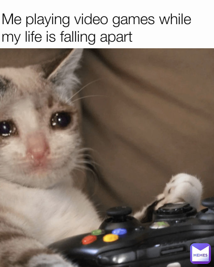 Me playing video games while my life is falling apart dazyyyyy Memes