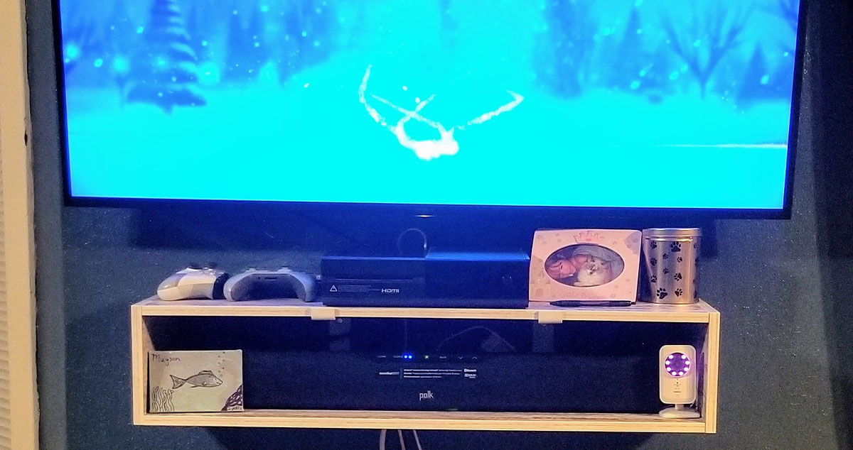 Wild Idea Hanging Shelf Project by Kallie at Menards®