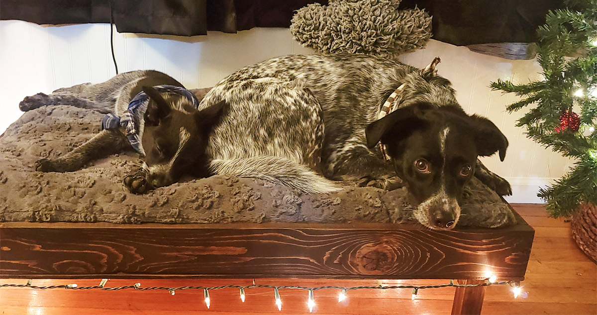 Dog Bed Frame Project by Staci at Menards®