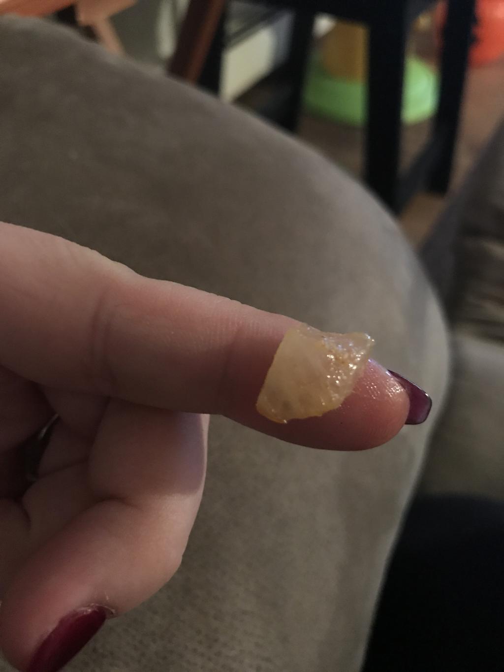 Can Nail Polish Hurt Dogs