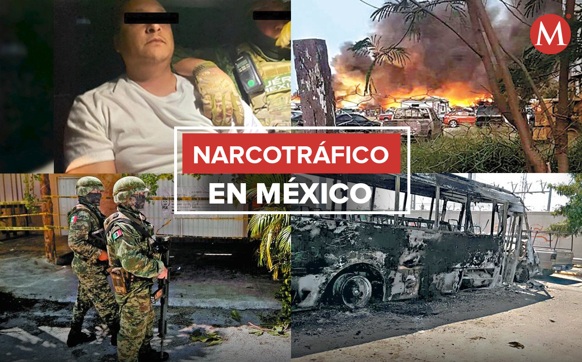 Cártel del Noreste Quiénes son sus líderes y dónde operan Grupo Milenio
