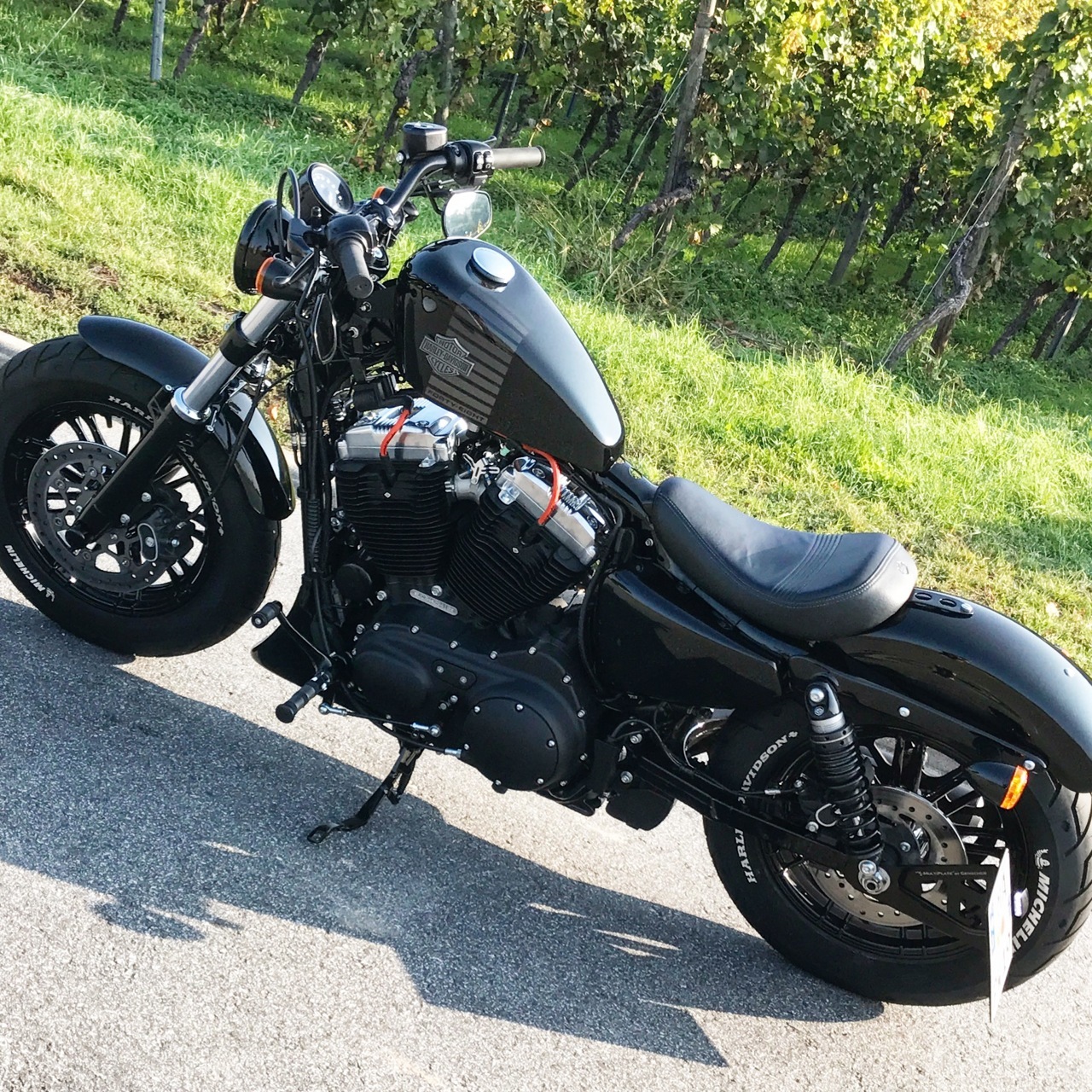 Alle Sportster Zeigt mir eure Sportster... (S. 917) Milwaukee VTwin