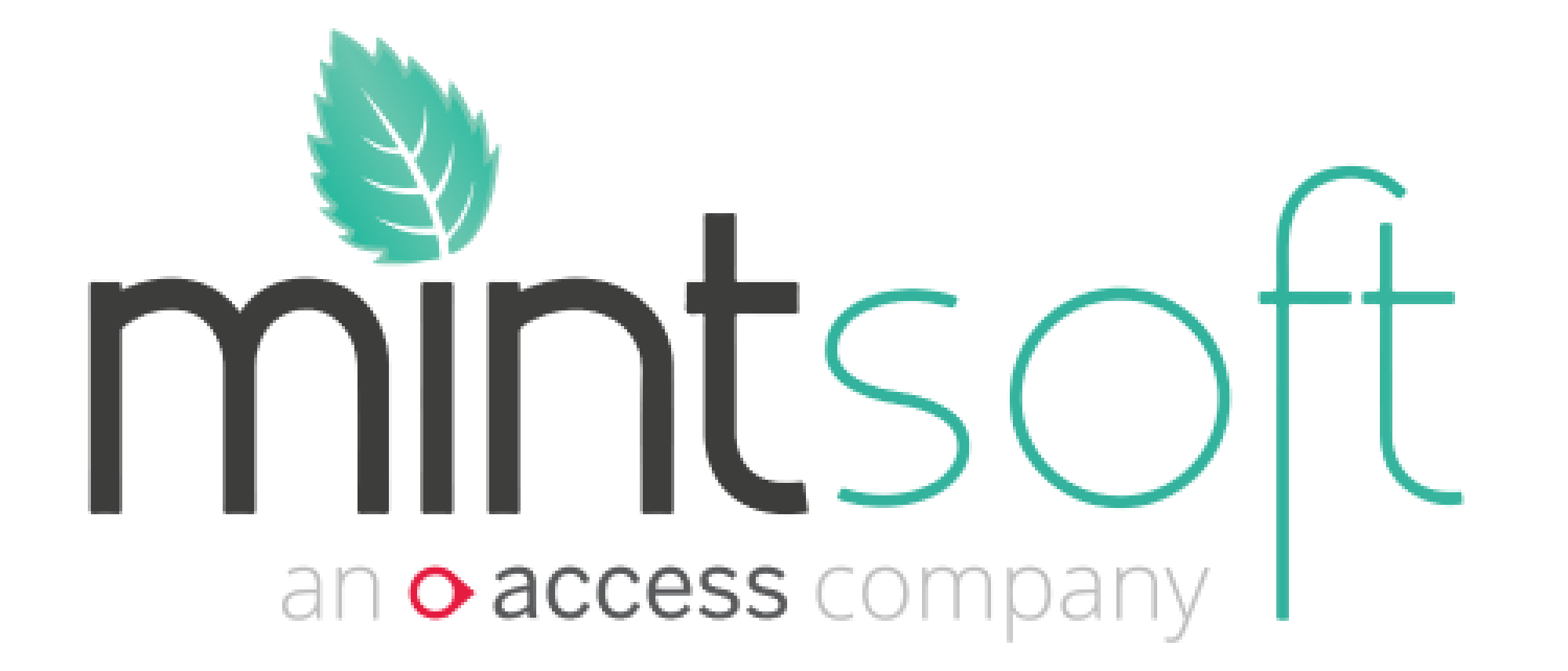 Mintsoft Login