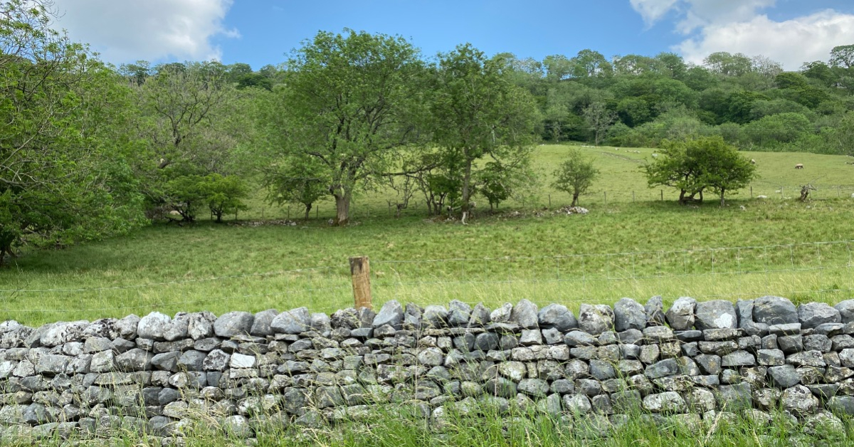 Enclosure Industrial Revolution