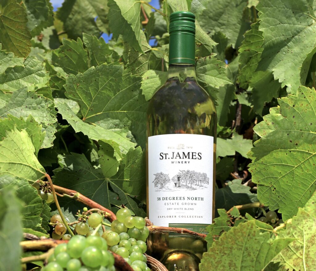A plan to make great wines while creating a large effort to go green