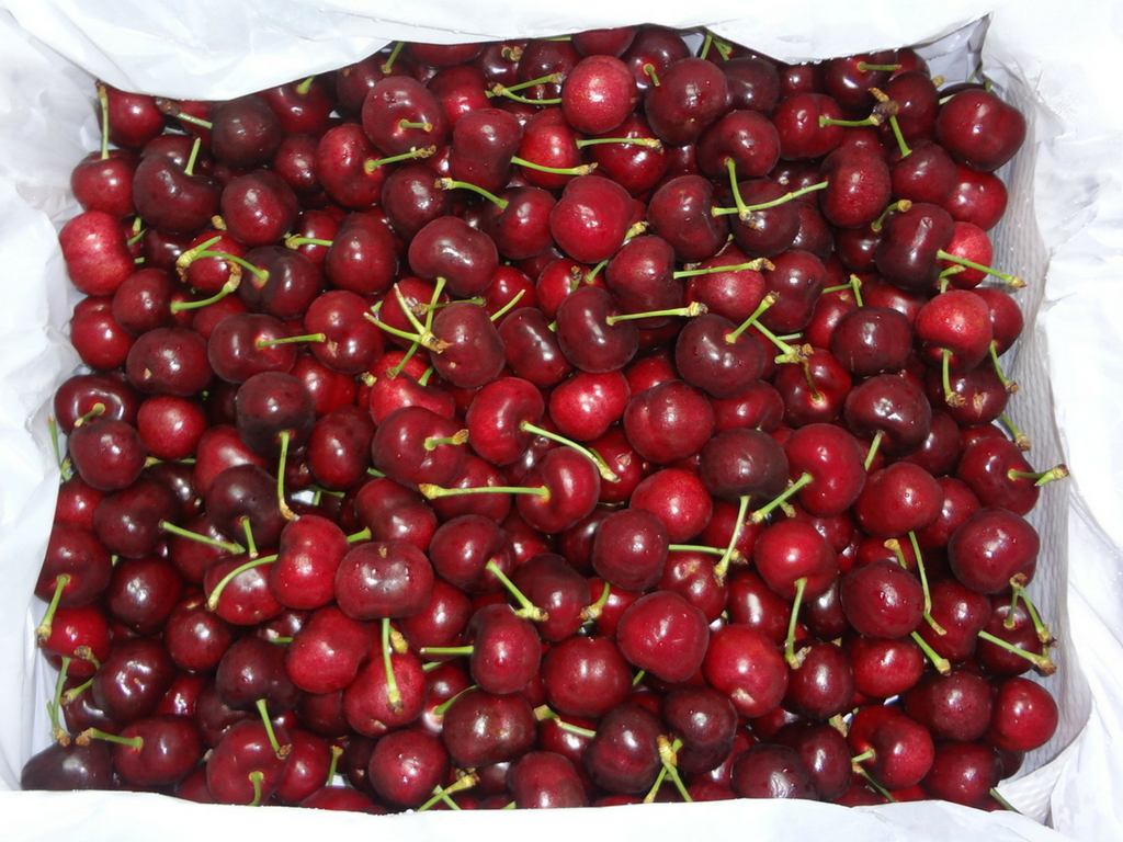 Cách chọn mua Cherry ngon Cherry size nào ngon nhất? Cherry nước nào