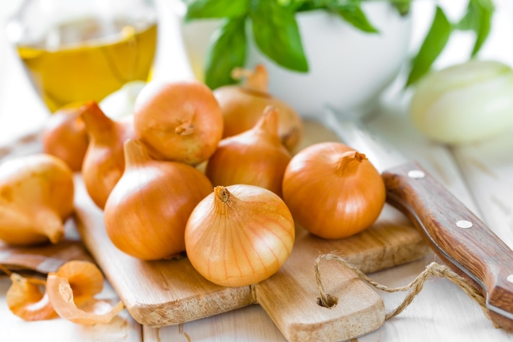 What Are The Benefits of Onions During PregnancyWhat Are The Benefits