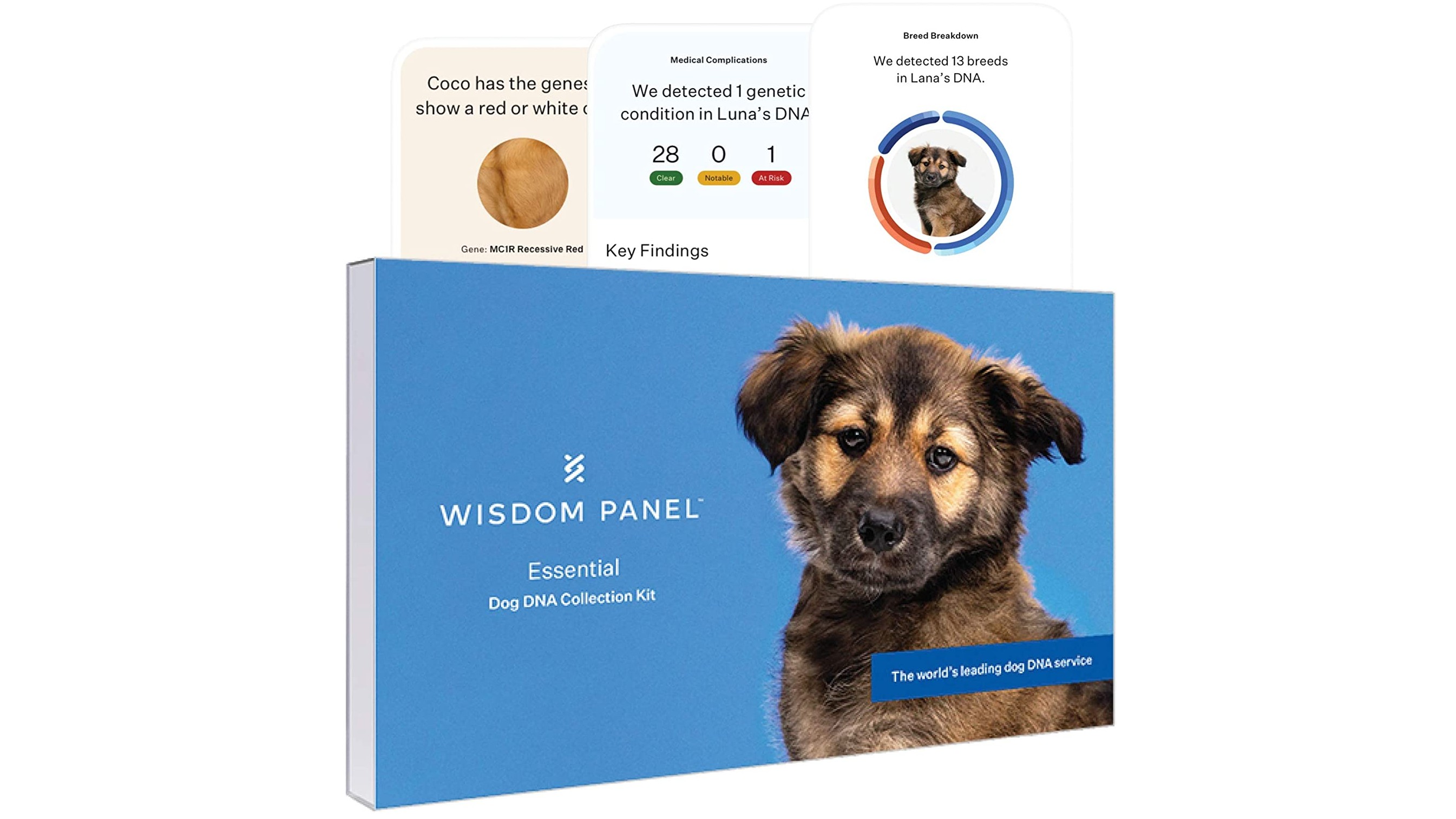 Best dog DNA test Discover who your dog really is PetsRadar