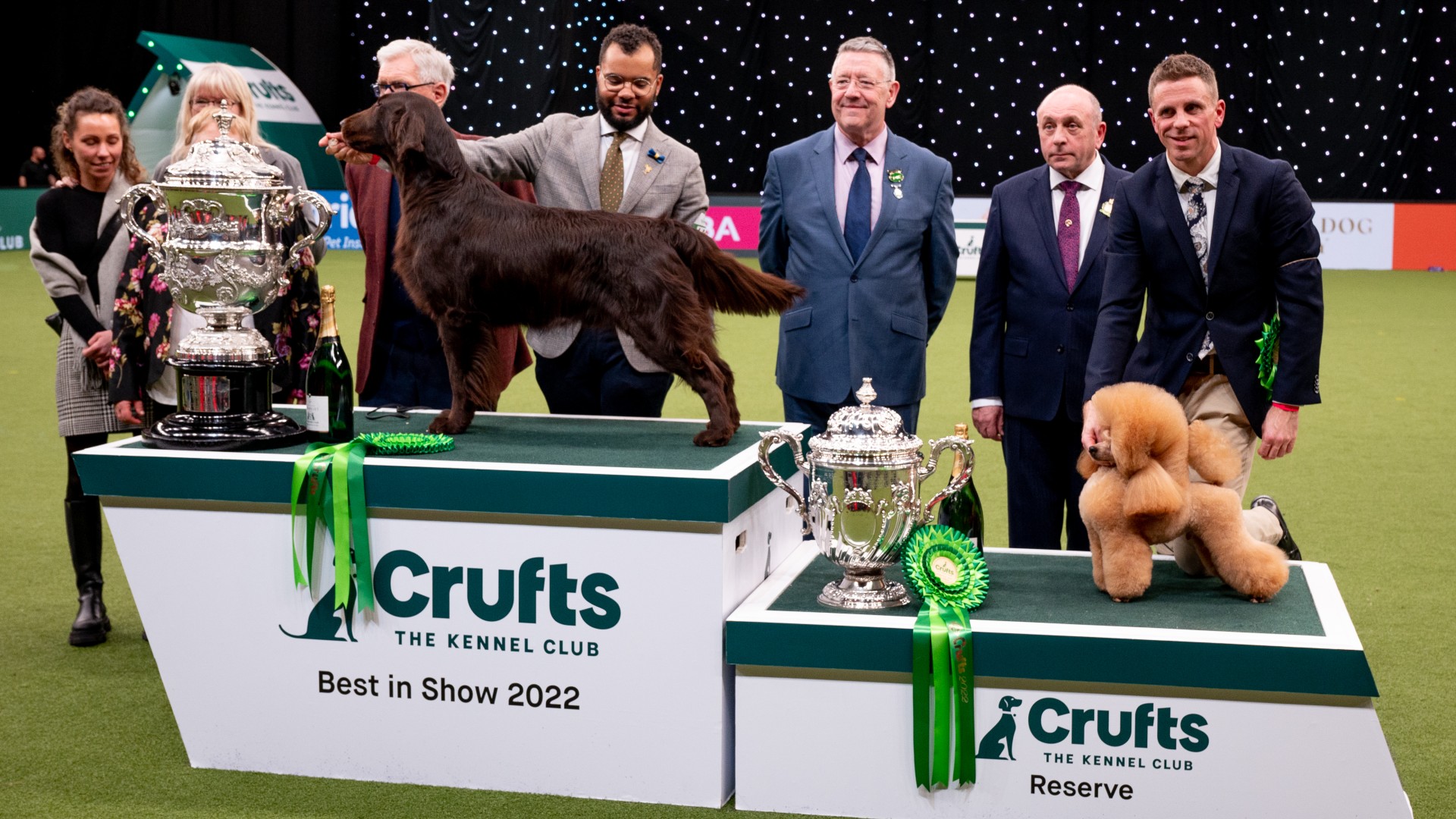 Is Crufts Dog Show On Tv