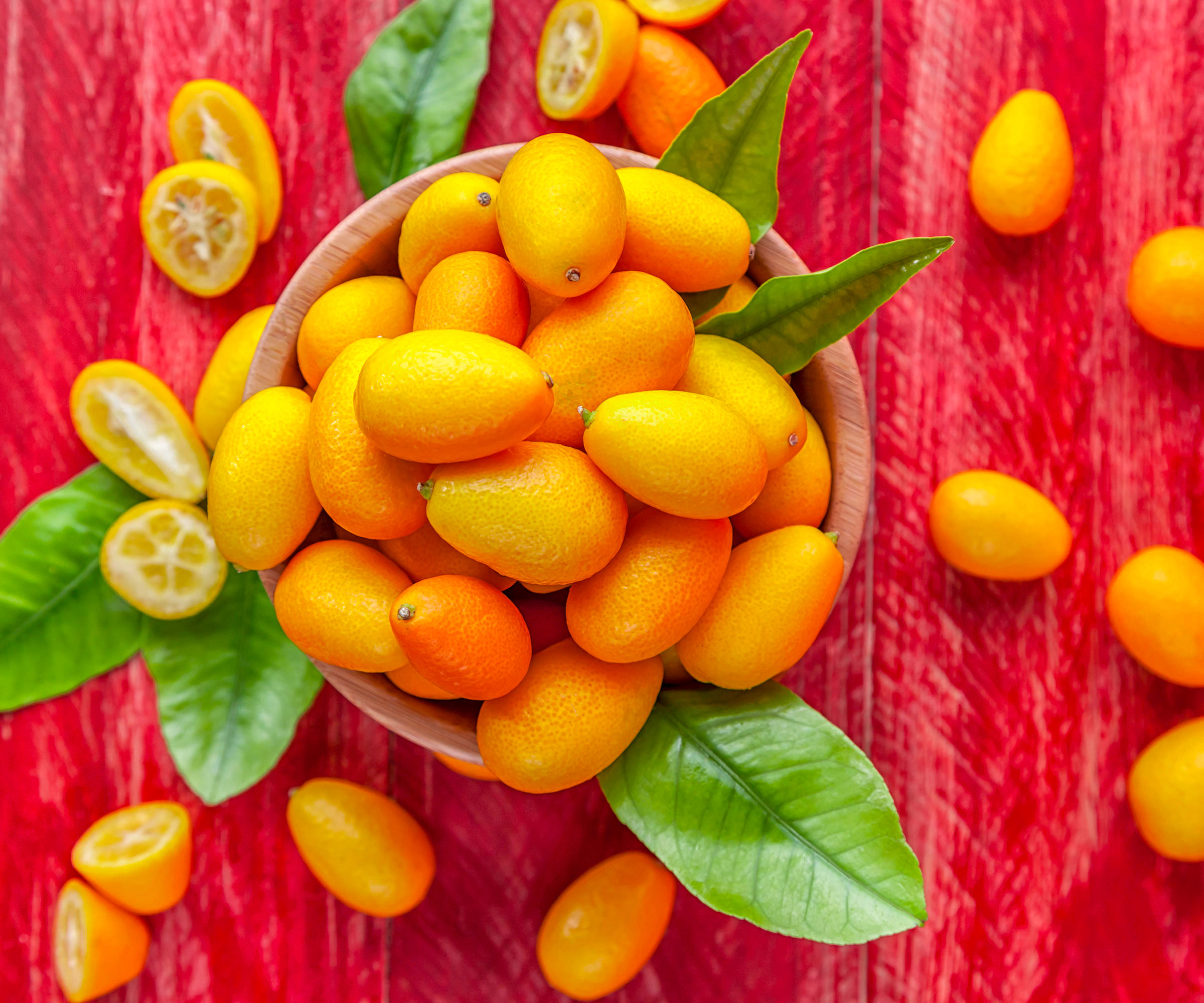 8 Luckiest Lunar New Year Plants For The Year Of The Dragon Gardening