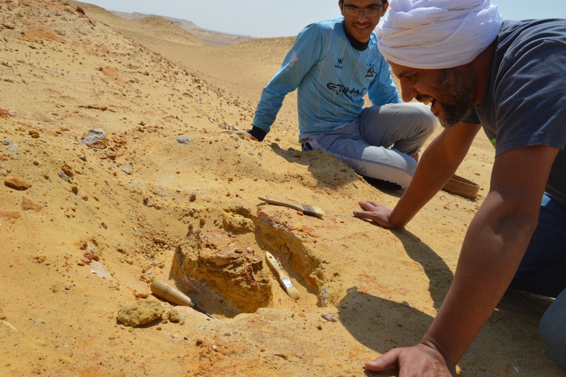 Two people excavate a skull from the desert