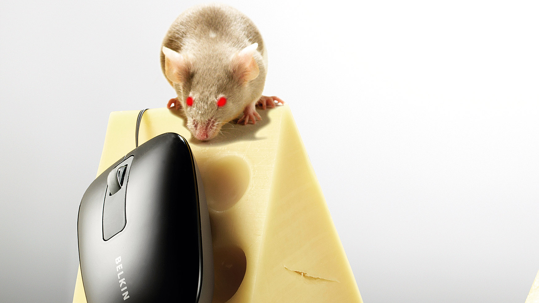 Scientists adapt mouse brain to create enraged killers TechRadar