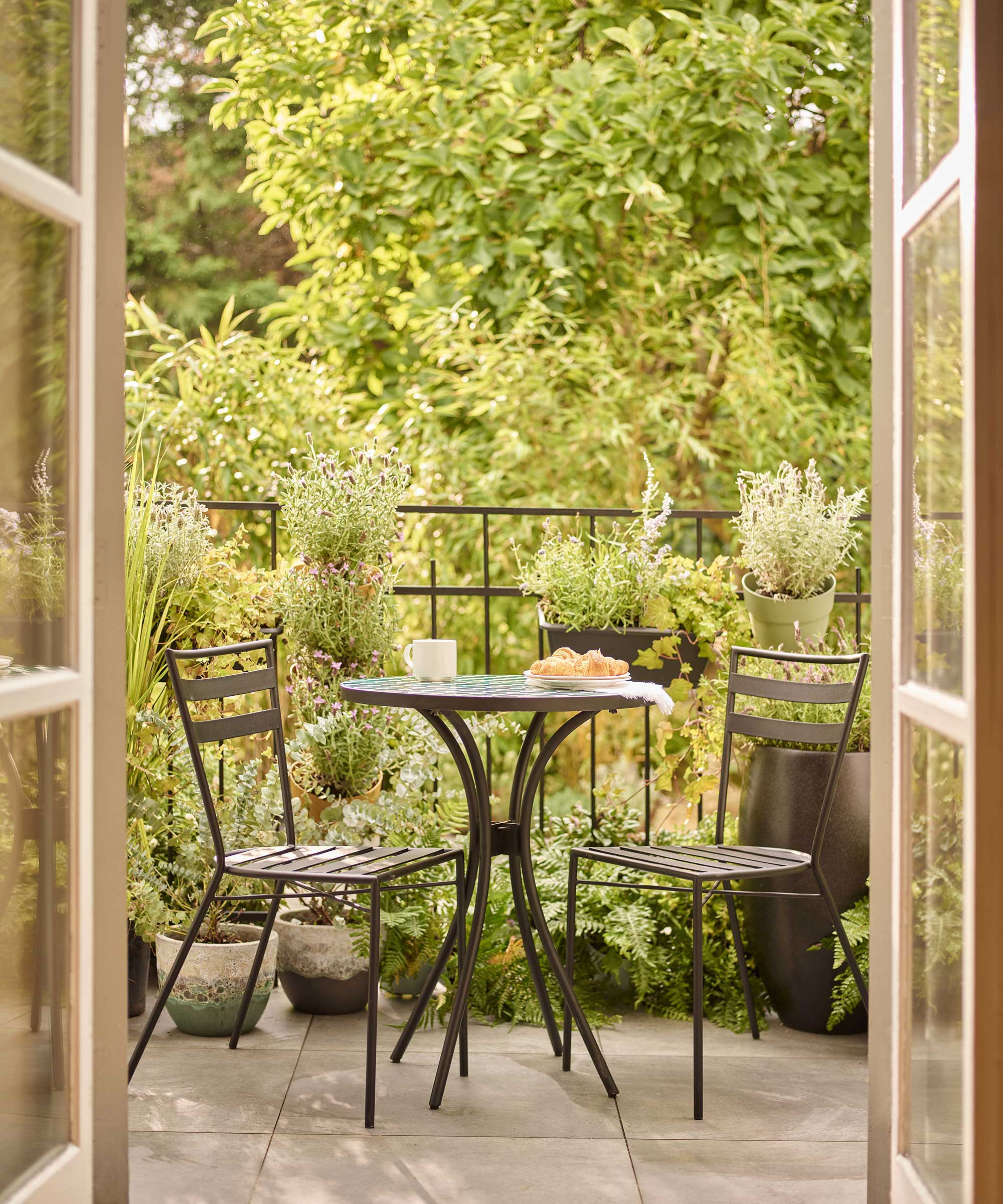 Plants to make your balcony smell nice 8 fragrant options Homes