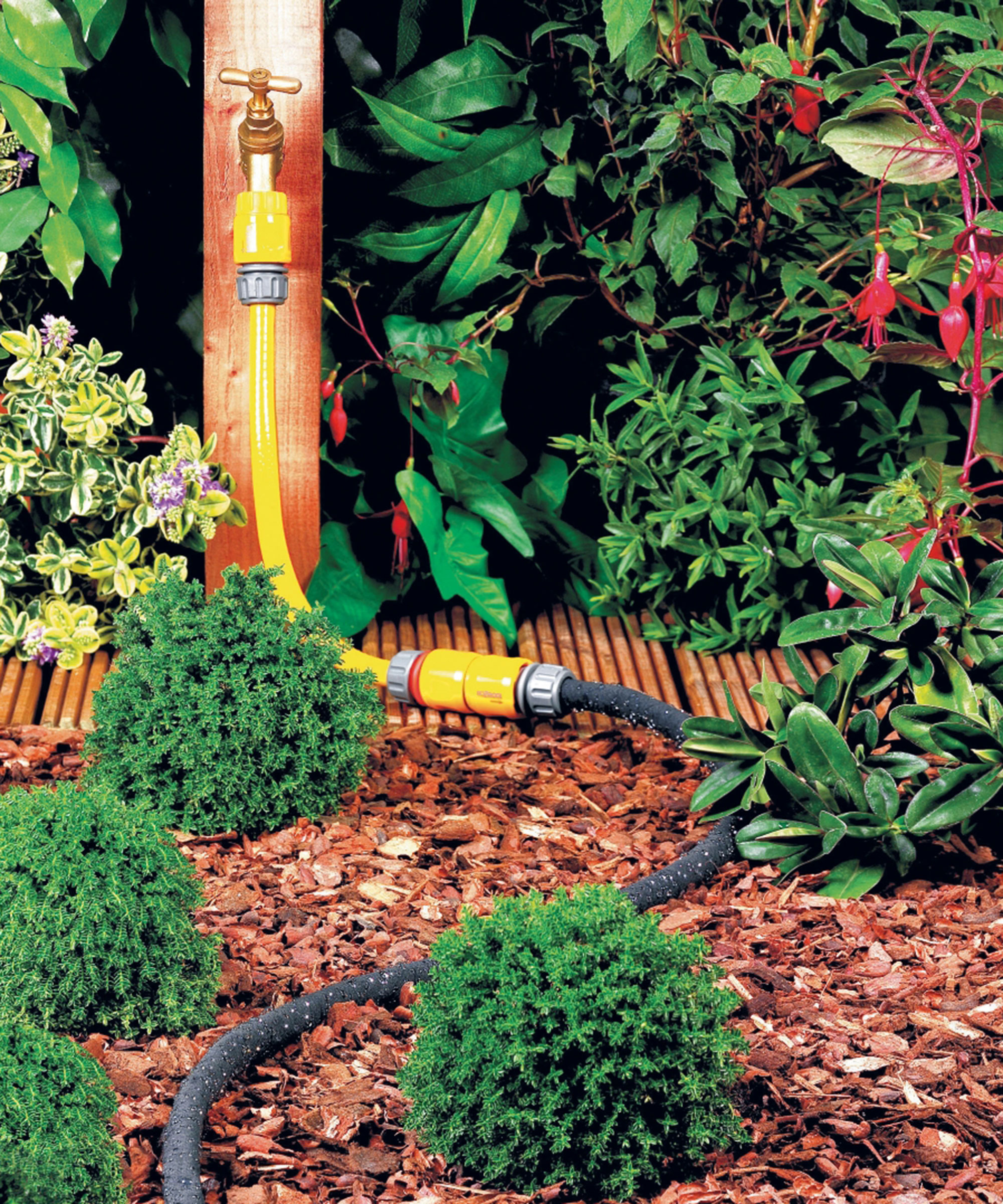 When is the best time to water plants? Expert tips on watering your
