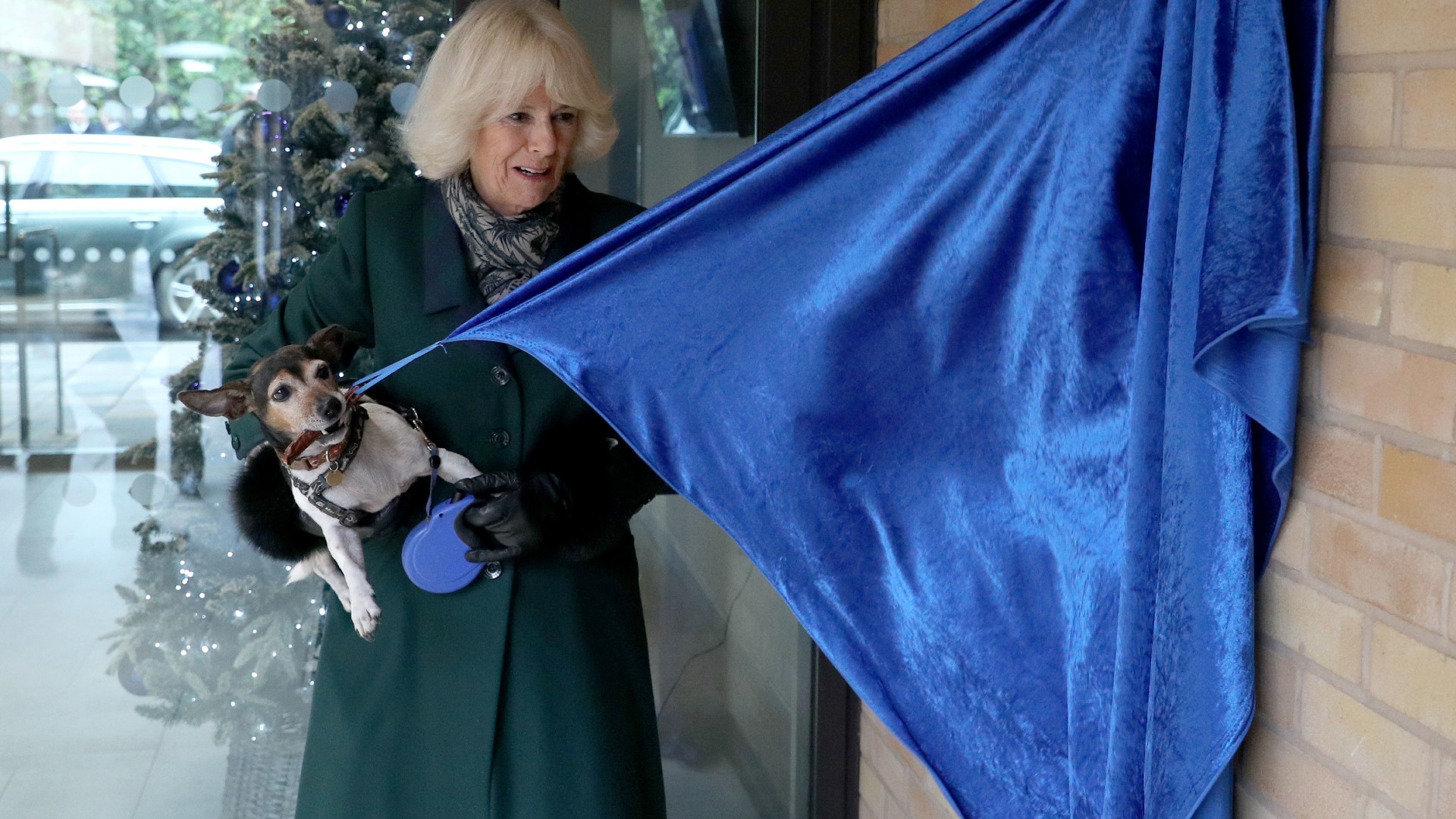 Duchess Camilla Posed With Her Jack Russell Beth for Her Birthday