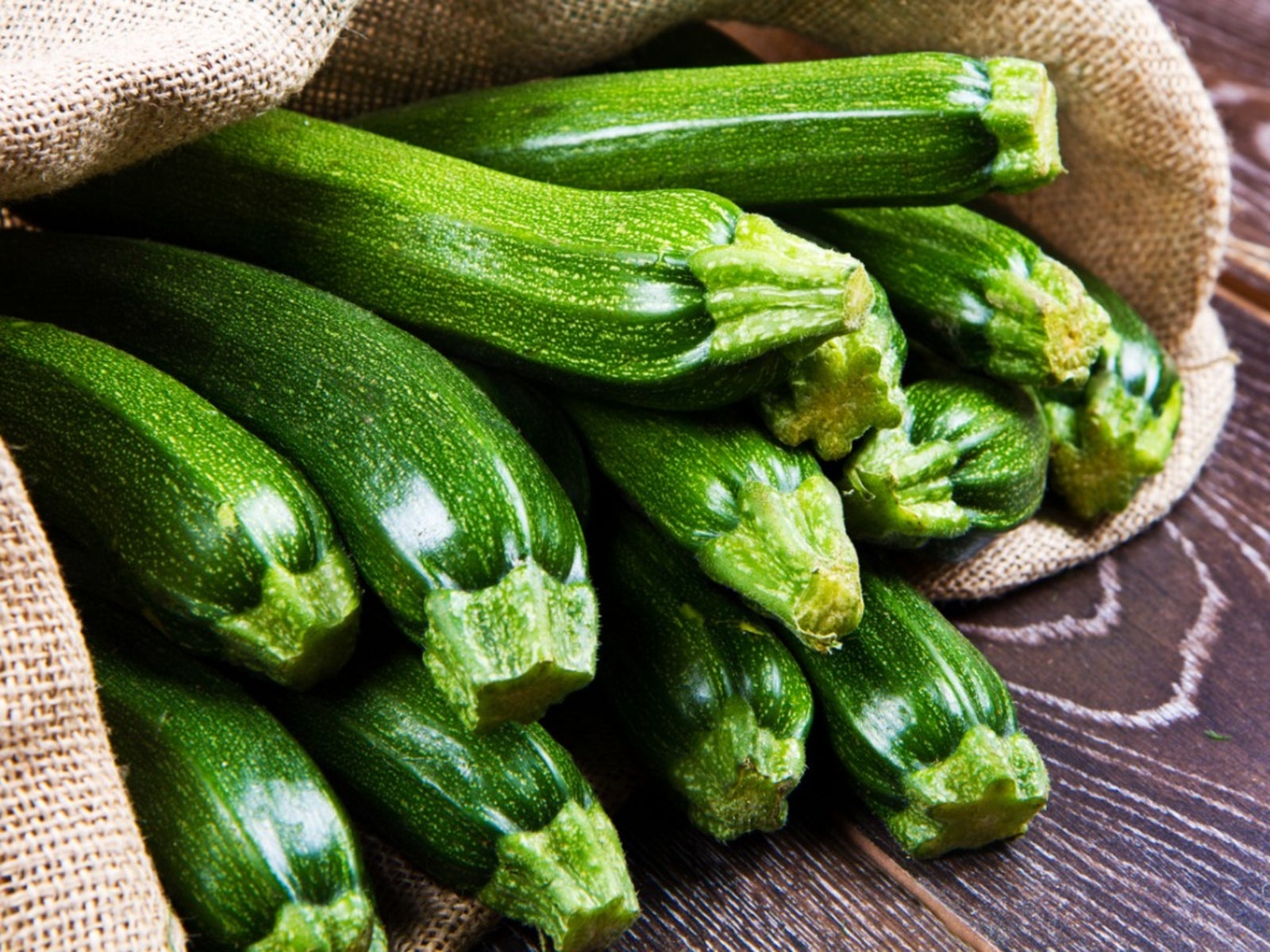 Tips For Growing Zucchini And Planting Zucchini Gardening Know How