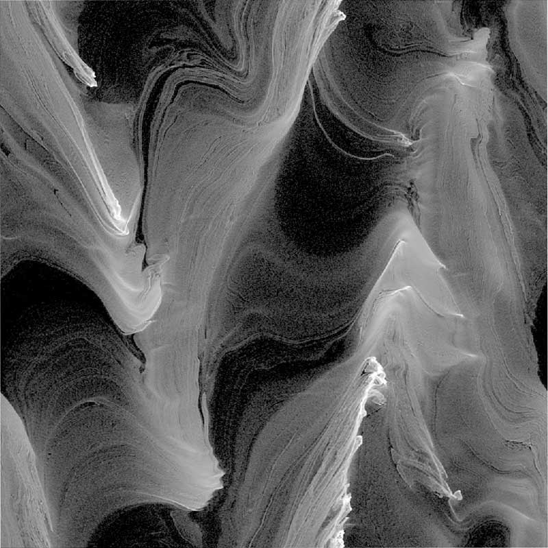 planetary dust forming planets