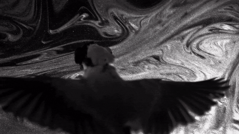 Patterns traced in airborne particles allow scientists to track the wing&rsquo;s precise movements during flight.