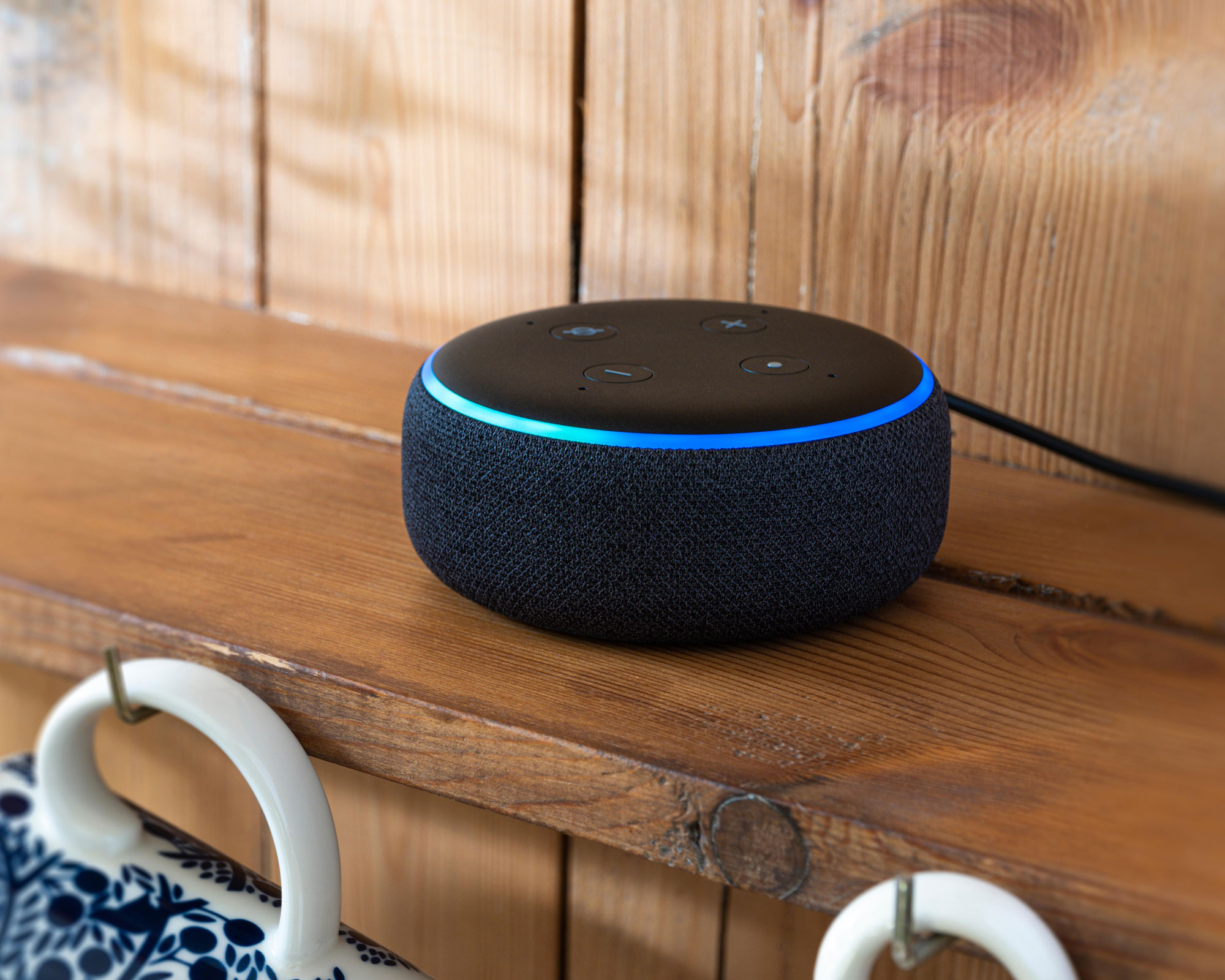 Why your Amazon Alexa is the useful gardening tool you need Gardeningetc