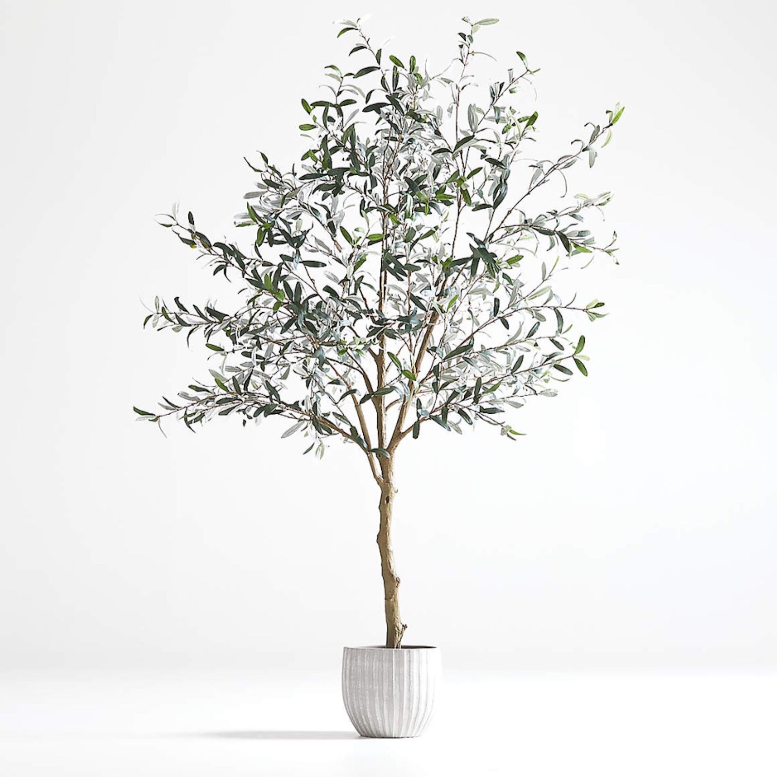 Faux olive trees are trending, and here are my favorites Homes & Gardens