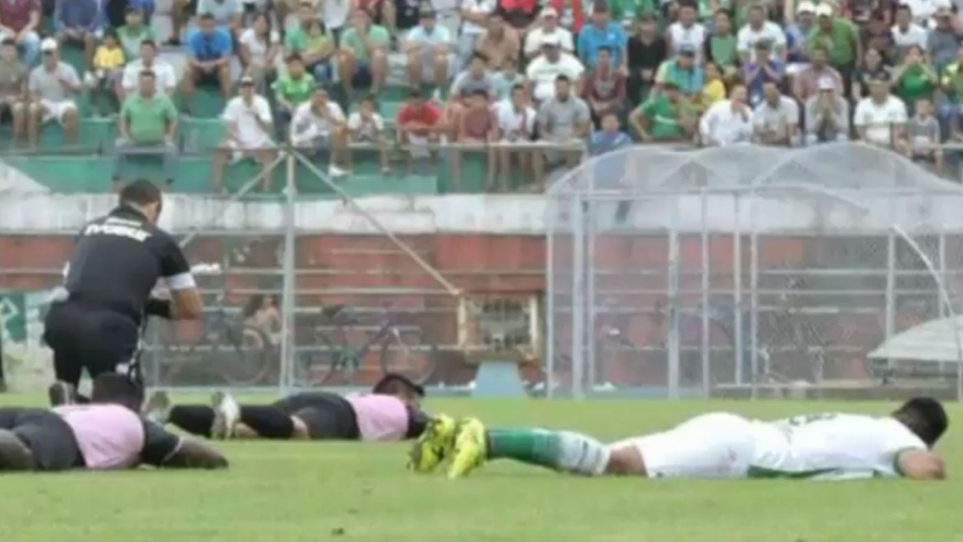 VIDEO Swarm of bees invades football match The Week