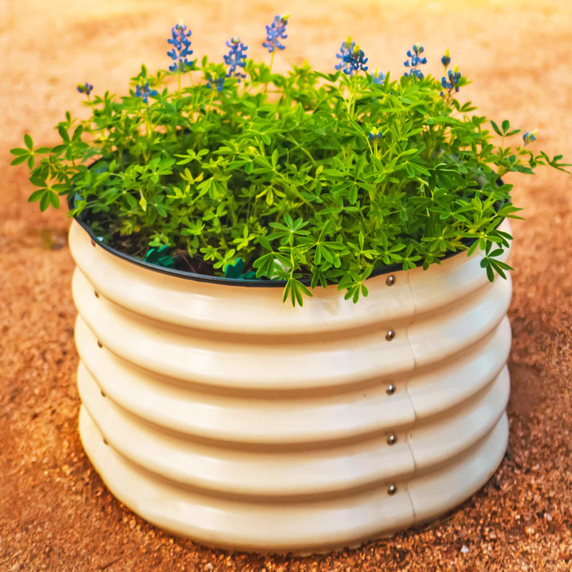 Vego Garden Herb Garden Bed