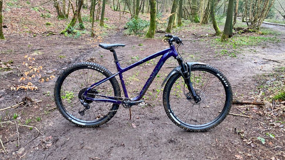 Best budget mountain bikes 2024 Bike Perfect