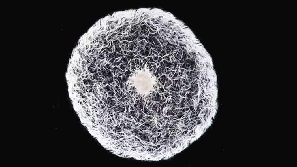 Watch thousands of 'vinegar eels' swarm through a water droplet in