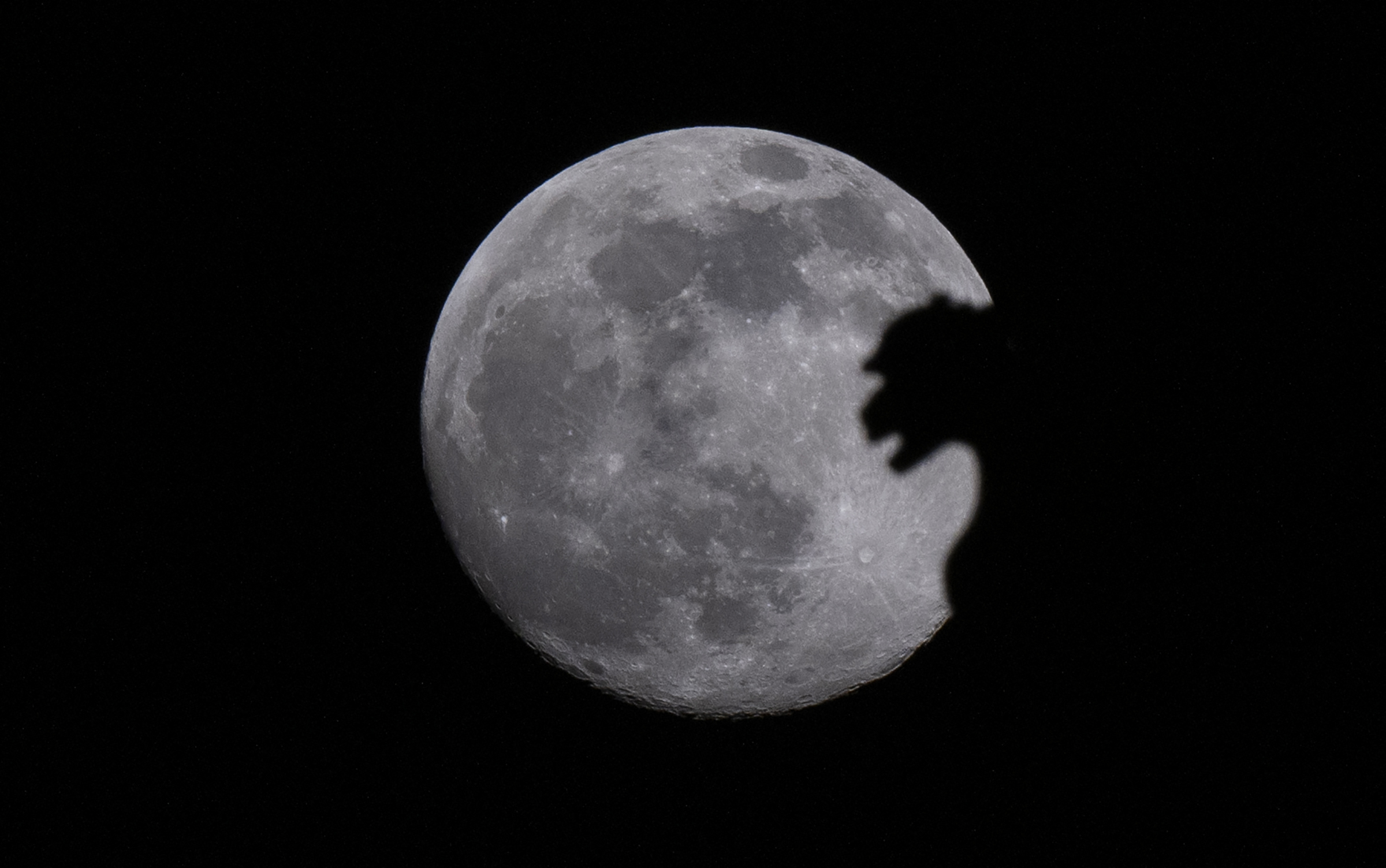 Pink Moon delights skywatchers around the world during…