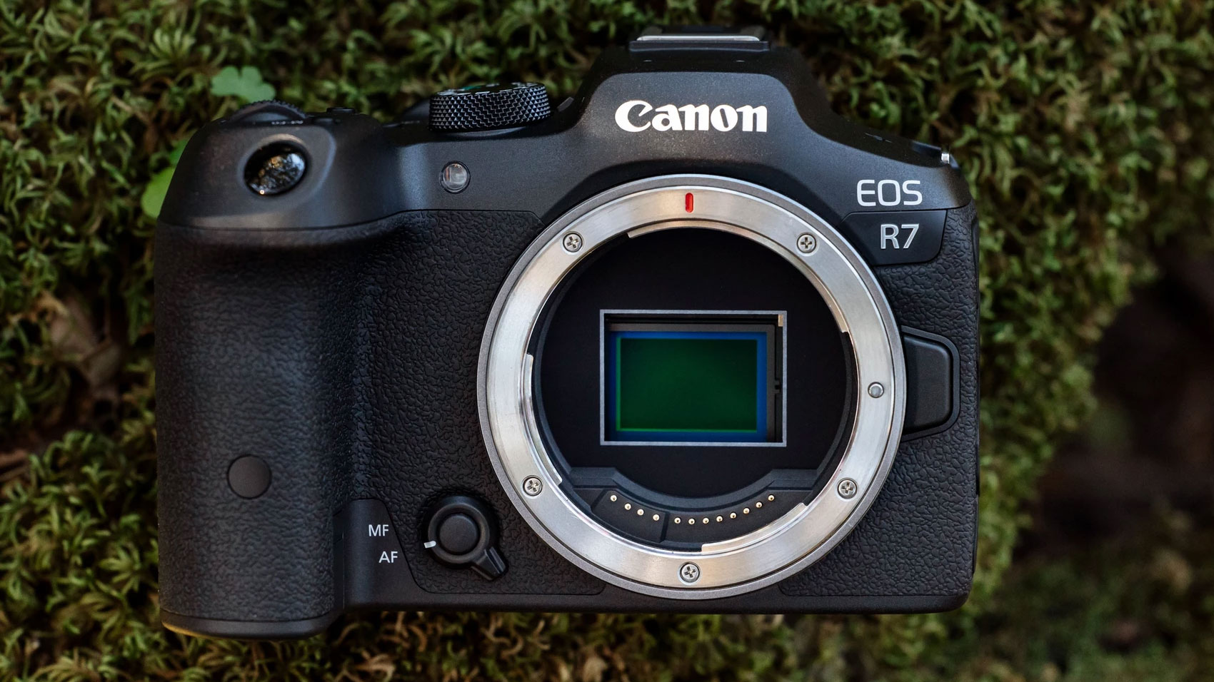 Canon EOS R7 vs EOS 90D Digital Camera World