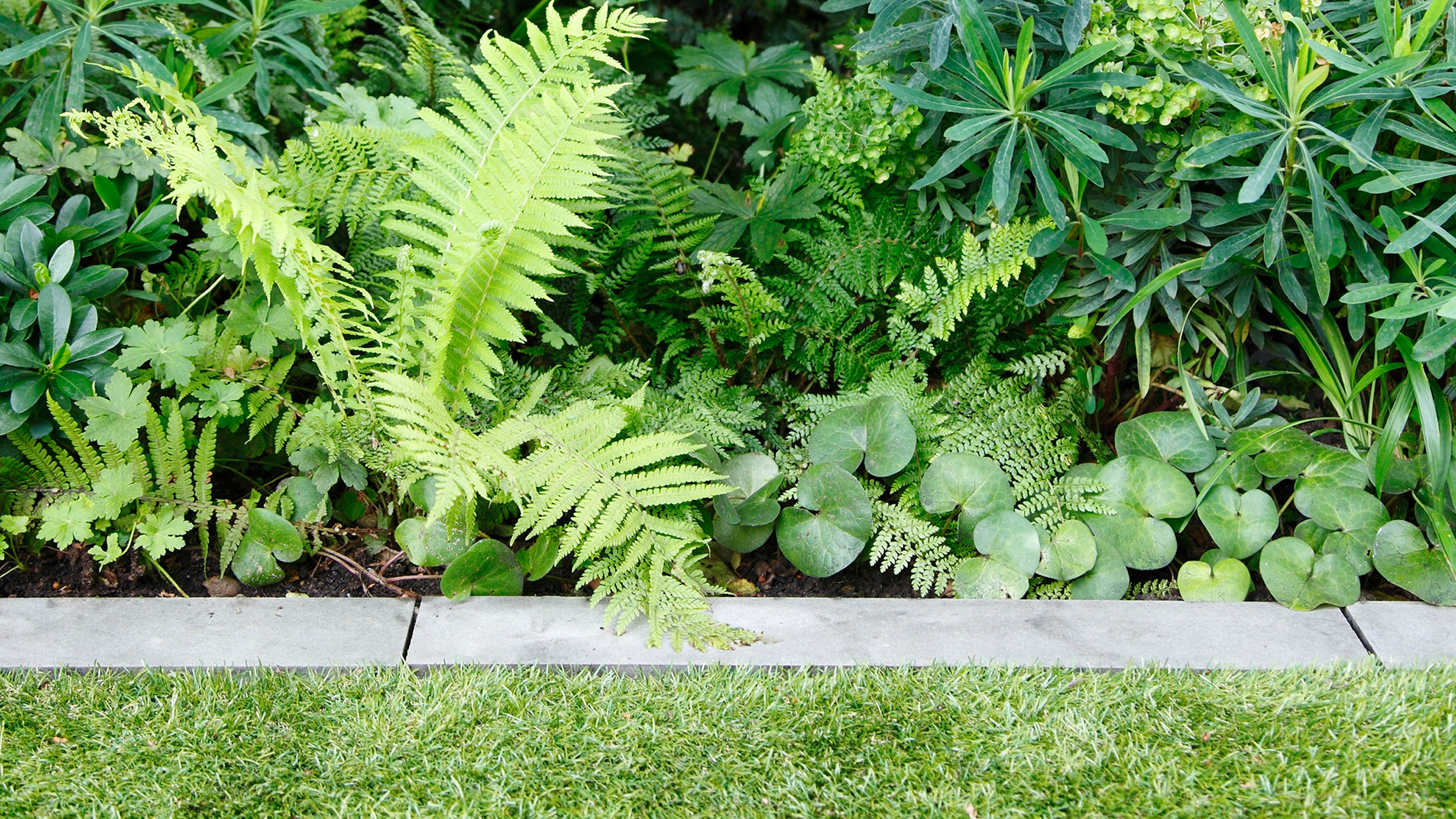 Garden edging ideas 12 stylish ways to border your lawns, flowerbeds