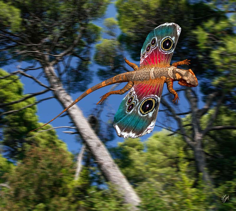 dinosaur art illustration