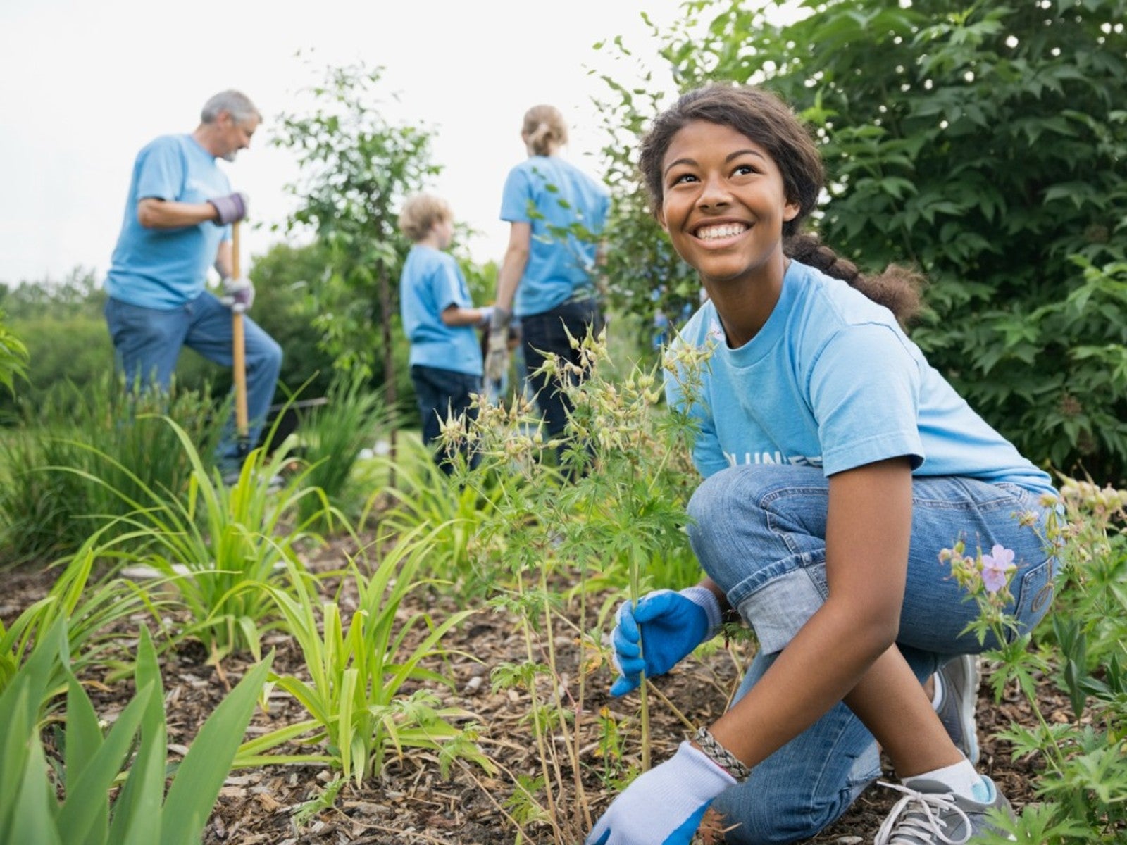 Community Garden Sustainability Grow A Greener Community Gardening