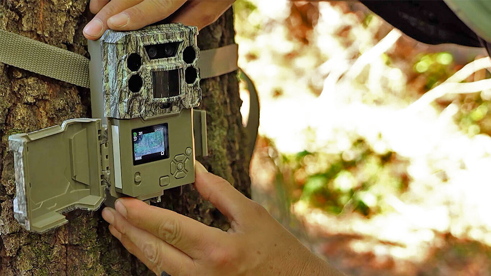 Best trail cameras in 2022 Top camera traps for wildlife Creative Bloq