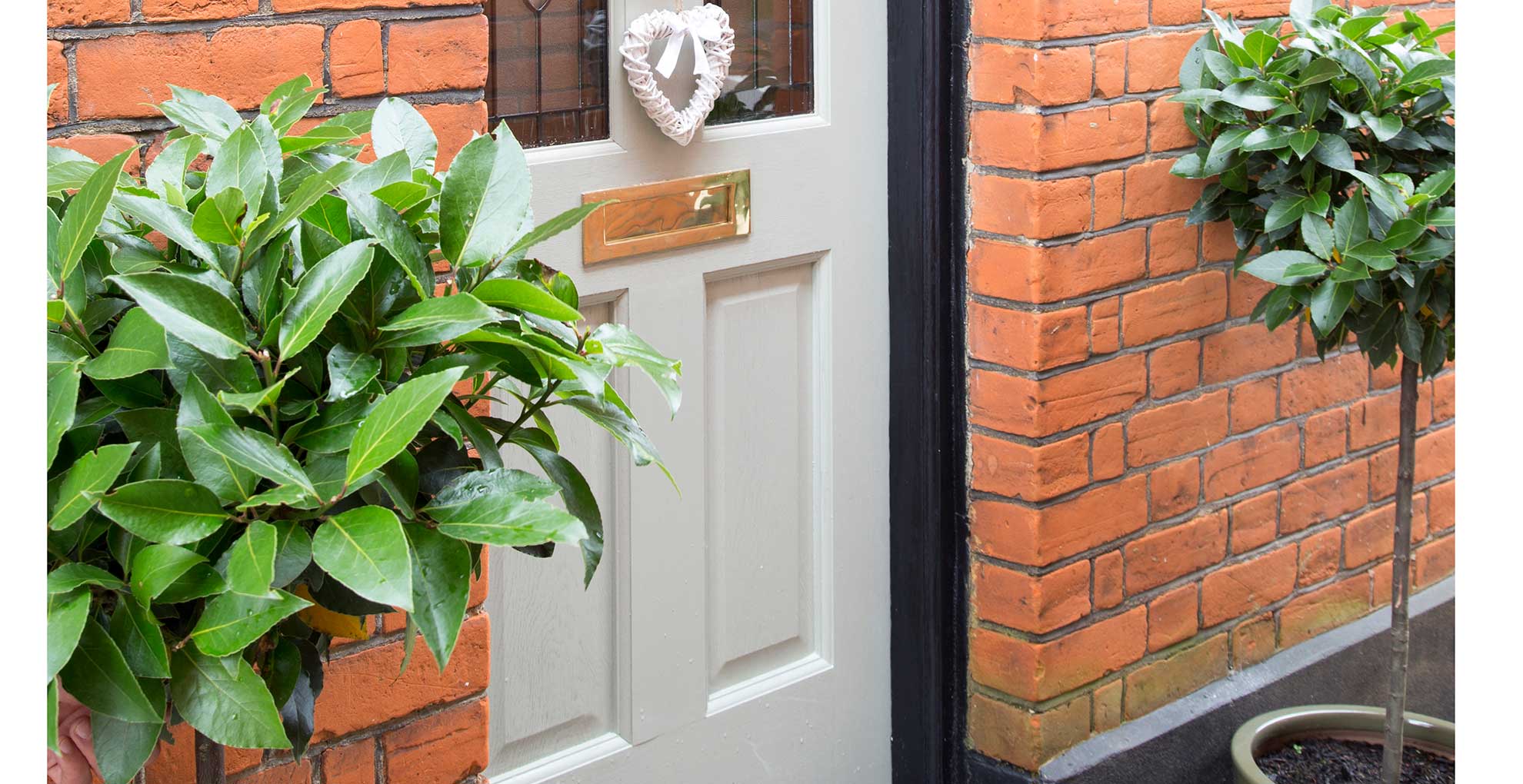 Why are my bay tree leaves turning brown and how to fix it Woman & Home