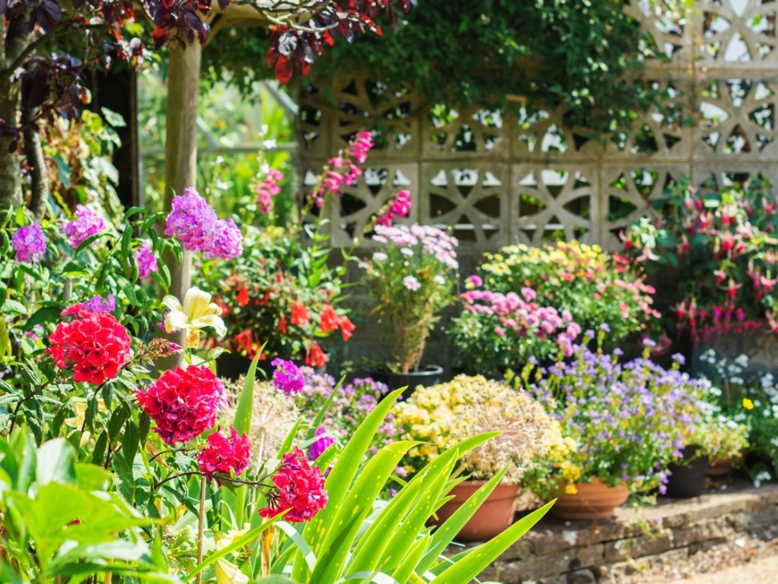 Planting A Forever Garden Choosing Forever Garden Plants Gardening