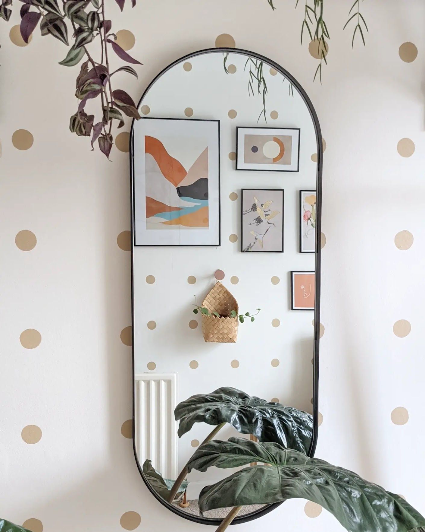 Easy polka dot accent wall a 7step DIY Real Homes