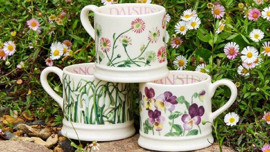 Emma Bridgewater discount codes 15 OFF for June 2024