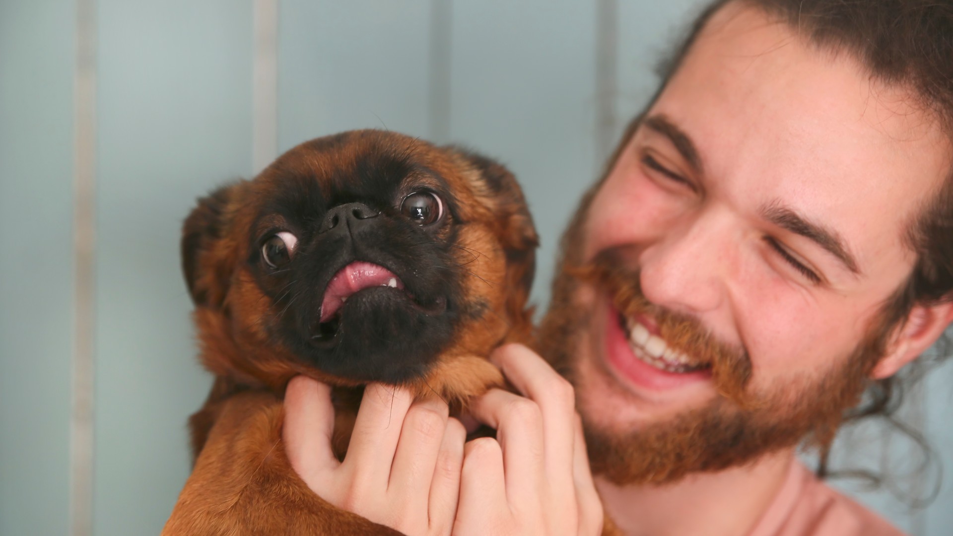 10 of the most affectionate dog breeds that love to be loved PetsRadar