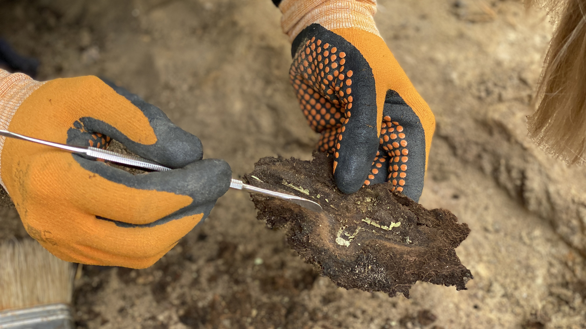 Buried objects such as crucifixes helped experts identify the nuns' remains.