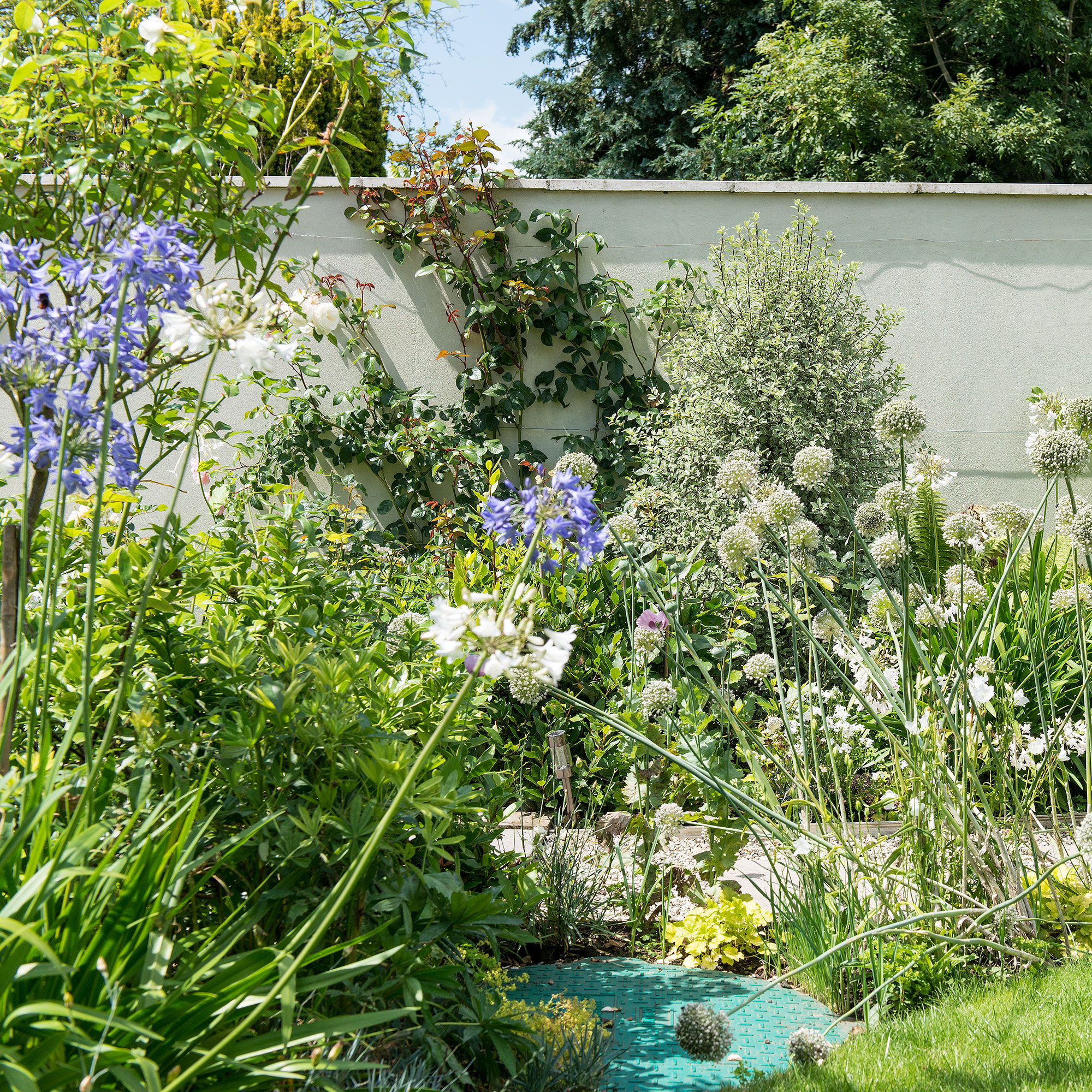 Can you water grass in the sun? The experts tell us all Ideal Home