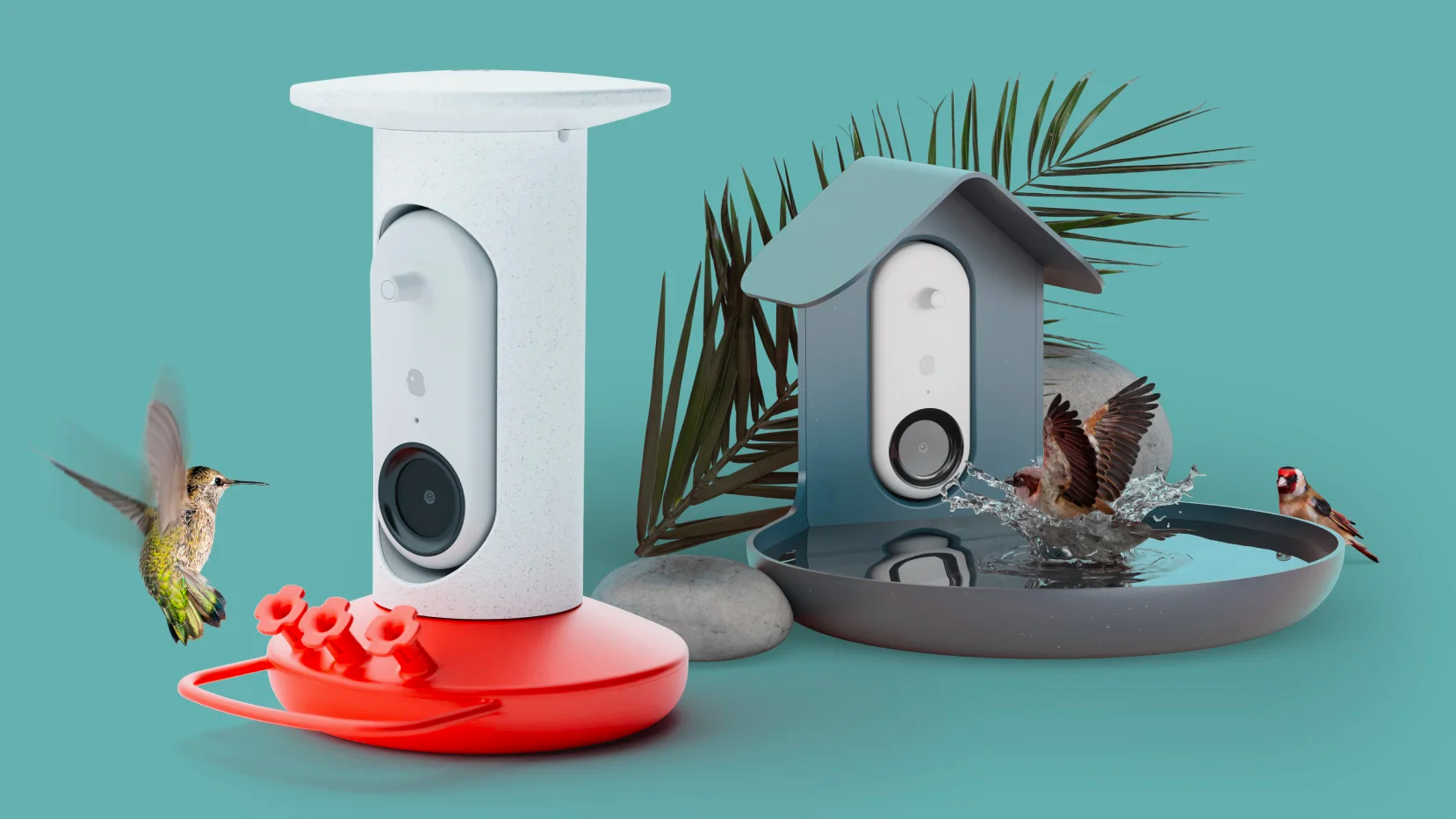 A trail camera for hummingbirds! A bird bath camera! What will they